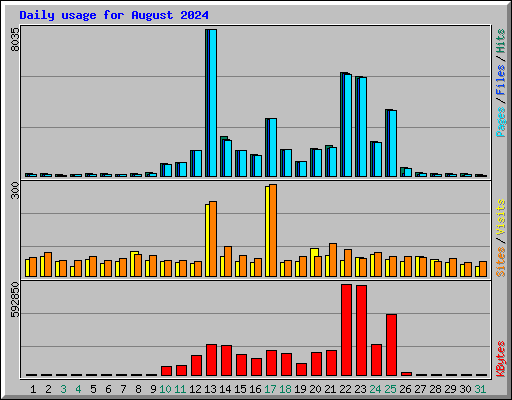 Daily usage for August 2024