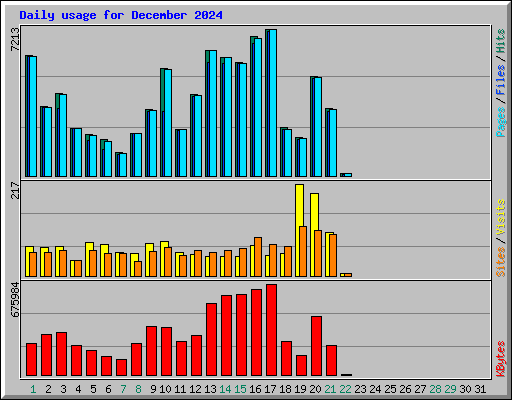 Daily usage for December 2024