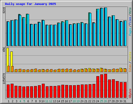 Daily usage for January 2025