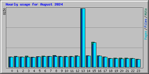 Hourly usage for August 2024