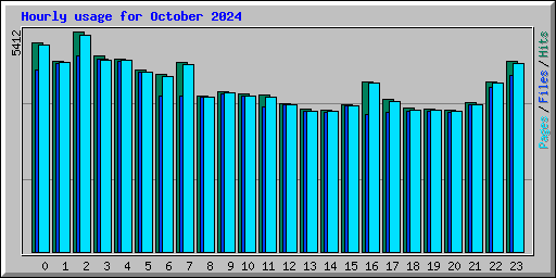 Hourly usage for October 2024