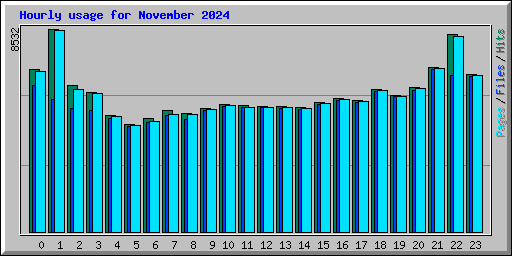 Hourly usage for November 2024