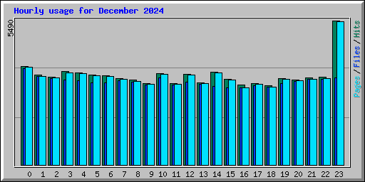 Hourly usage for December 2024