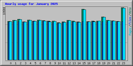 Hourly usage for January 2025